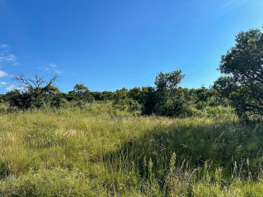 0 Bedroom Property for Sale in Lekwena Wildlife Estate North West